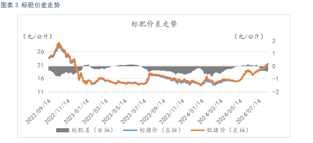 标肥报价