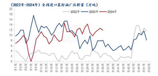 进口菜籽油压榨量